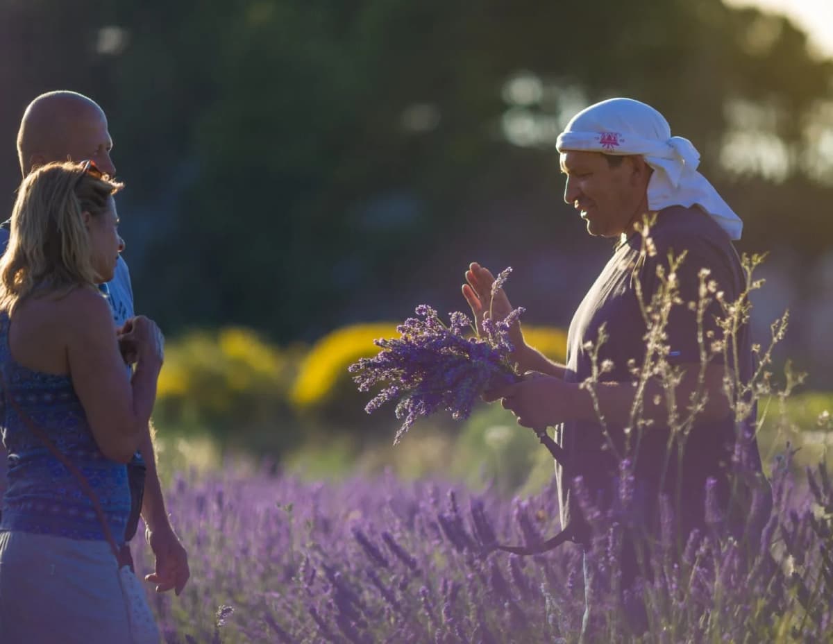 Hvar Lavender & Local Tradition Tour